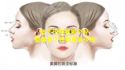 垫下巴整容哪个好 整容垫下巴需要多少钱
